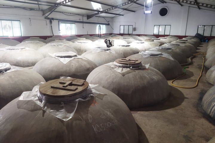 Organic Wine and Olive Oil Tour with Tapas From Málaga