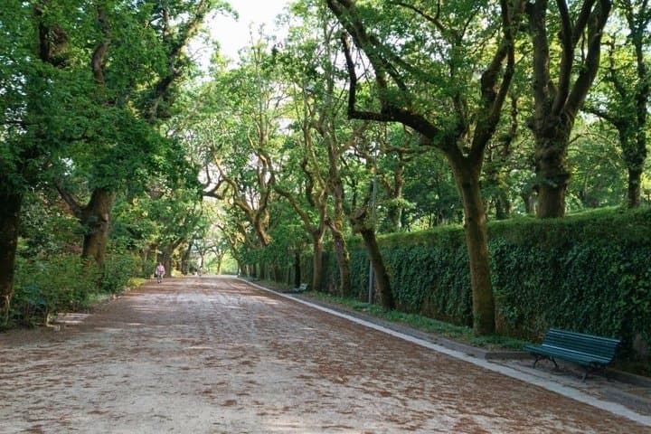 Private Walking Tour of Santiago de Compostela in Russian