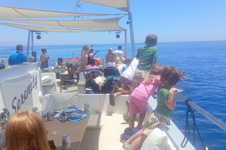 Dolphin Watching in Catamaran from Benalmadena