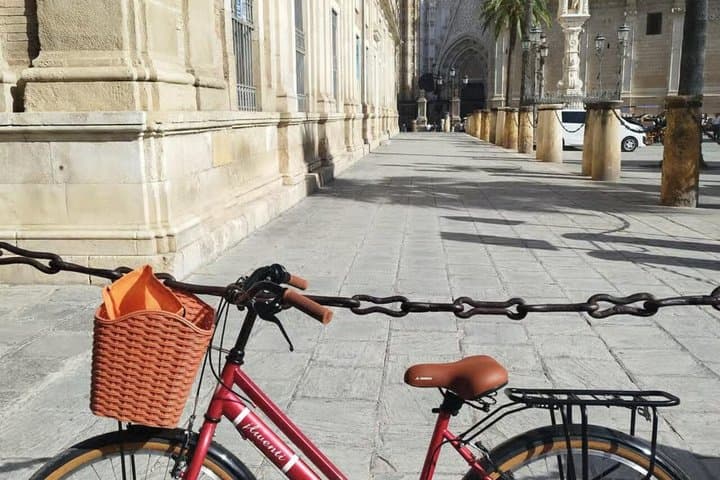 Seville: Guided small group bike and e-bike tour