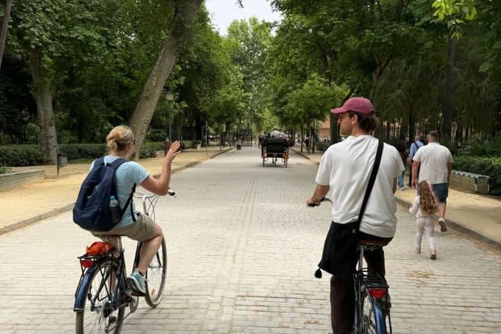 Seville: Guided small group bike and e-bike tour