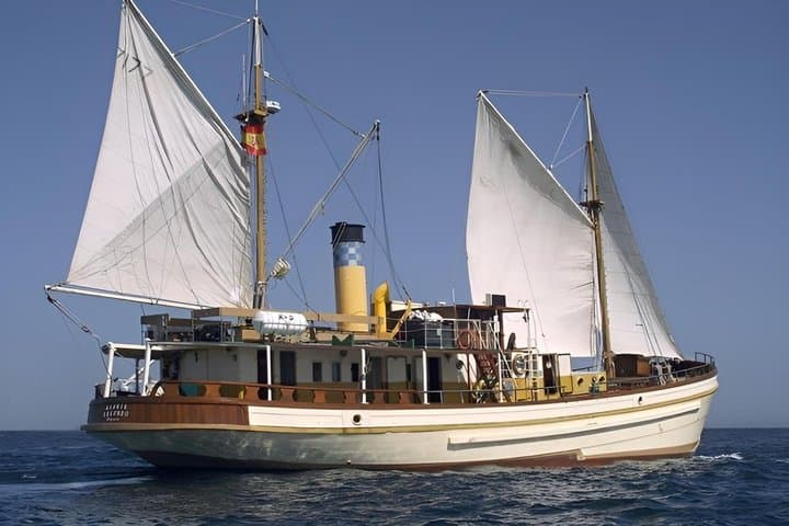 The Last Steamboat