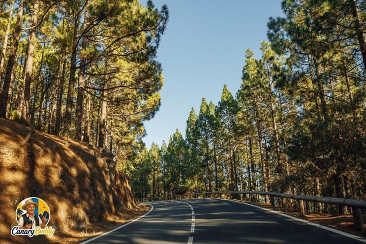 Car Tour Visit Teide National Park Tenerife